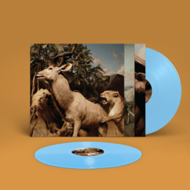Interpol Our Love To Admire LP - Blue Vinyl-