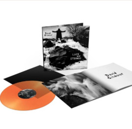David Gilmour Luck and Strange LP - Orange Crush Vinyl-