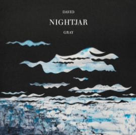 David Gray Nightjar 2LP