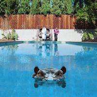 Sparks Hippopotamus 2LP