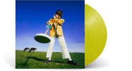 Declan Mckenna What Happened to the Beach? LP - Yellow Vinyl-