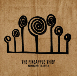 The Pineapple Thief Nothing But The Truth Blu-Ray