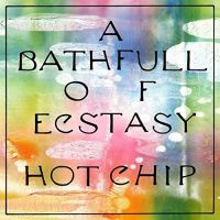 Hot Chip A Bath Full Of Ecstasy CD