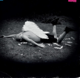 Hans Vanderberg Posthumourly LP