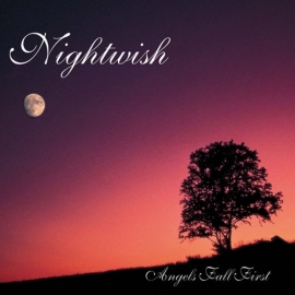 Nightwish Angels Fall First 2LP