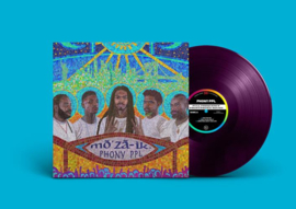 Phony Ppl Mozaik -coloured- 2LP