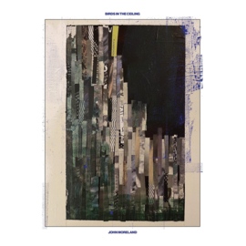 John Moreland - Birds In The Ceiling LP- Coloured VInyl-