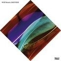 Wild Beasts - Smother LP