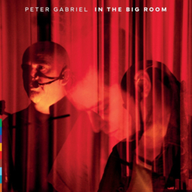 Peter Gabriel The Big Room 2LP