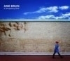 Ane Brun - Tempory Dive LP