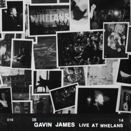 Gavin Jams - Live At Whelans LP -Transparant-