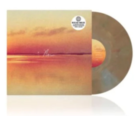 Andy Shauf Norm LP - Gold Vinyl-