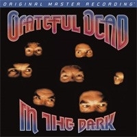 Grateful Dead - In The Dark HQ LP