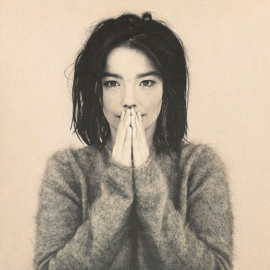 Bjork Debut LP