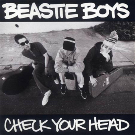 Beastie Boys Check You Head 2LP