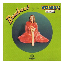Wizards Of Ooze Bambee -lp+cd-