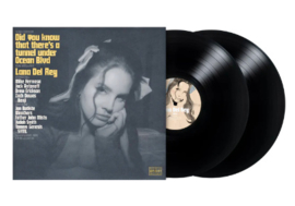 Lana Del Rey Did you know that there's a tunnel under Ocean Blvd 2LP
