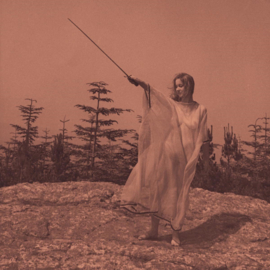 Unknown Mortal Orchestra II LP