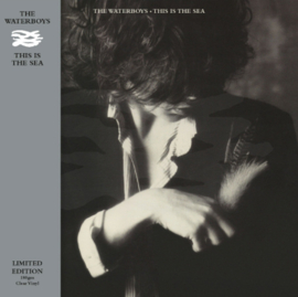 The Waterboys This Is the Sea 180g LP -Clear Vinyl-
