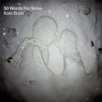 Kate Bush Remaster 50 Words For Snow 2LP