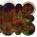Butterfield Blues Band - In My Own Dream HQ LP