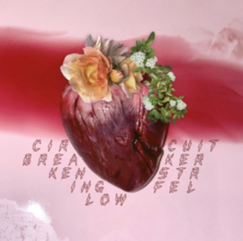 Ken Stringfellow Circuit Breaker LP