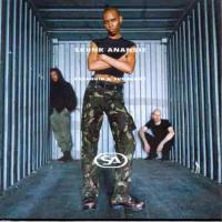 Skunk Anansie Paranoid & Sunburnt LP