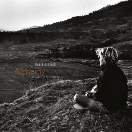 David Sylvian Alchemy / An Index Of Possibilities LP