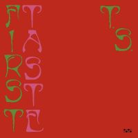 Ty Segall First Taste LP