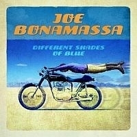 Joe Bonamassa - Different Shades Of Blues LP -Picture Disc-