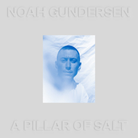 Noah Grundersen A Pillar of Salt CD