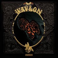 Waylon Human CD