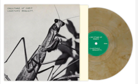 Courtney Barnett - Creature of Habit