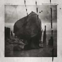 Lykke Li Wounded Rhymes 2LP - Anniversary Edition-