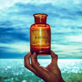 Blackfield V LP