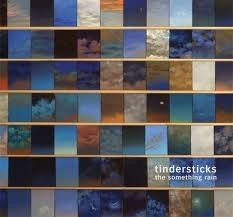 Tindersticks - Something Rains LP
