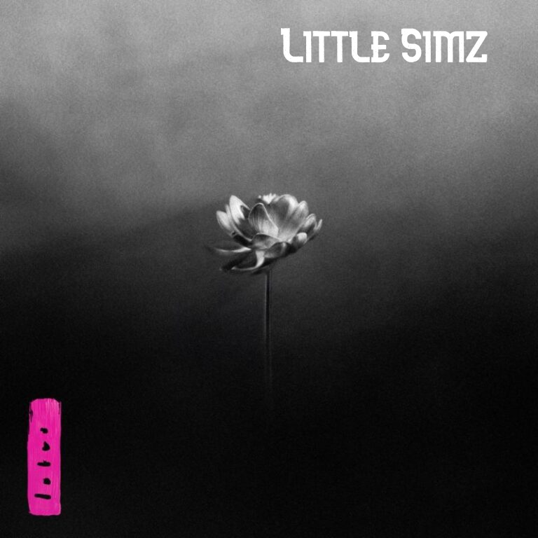 Little Simz Lotus LP - Electric Pink Vinyl-