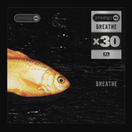 The Prodigy - Breathe 12'