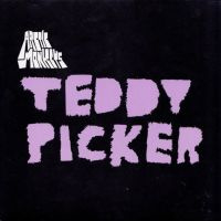 Arctic Monkeys Teddy Picker 7'
