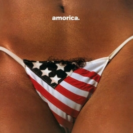 The Black Crowes Amorica 2LP
