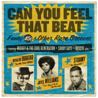 Various Can You Feel That Beat: Funk 45's 2LP