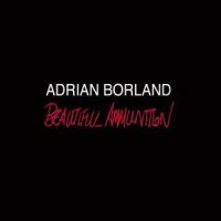 Adrian Borland Beautiful Ammunition 2LP