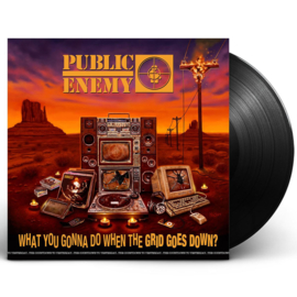 Public Enemy What You Gonna Do LP