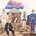 Flying Burrito Brothers  Gilded Palace Of Sin HQ LP