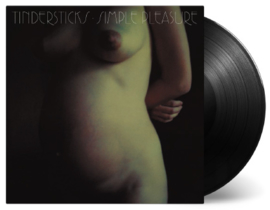 Tindersticks Simply Pleasure 2LP - Expanded Edition-