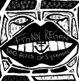 Fionn Regan 100 Acres Of Sycamore LP