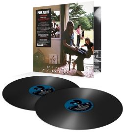 Pink Floyd Ummagumma 180g 2LP