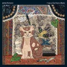 James Yorkston - I Was A Cat In A Book 2LP
