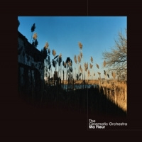 The Cinematic Orchestra Ma Fleur 2LP