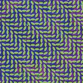 Animal Collective Merriweather Post Pavillion 2LP